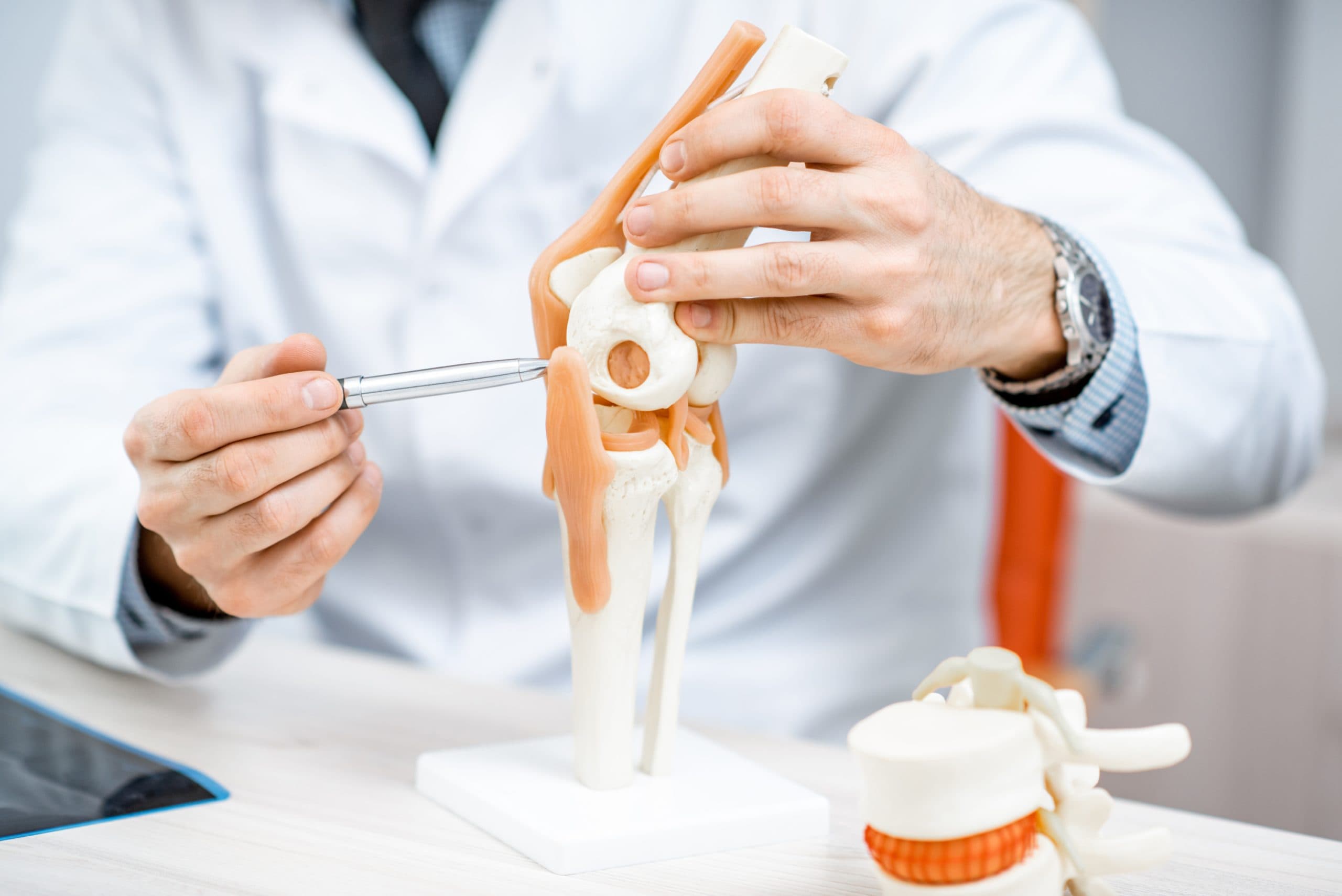 Doctor explaining knee anatomical model to patient
